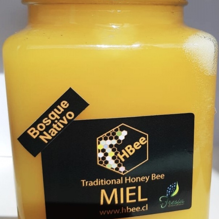 Miel Bosque Nativo Orgánica  1 kilo
